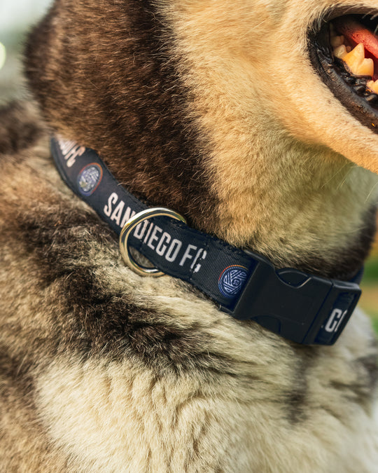 SDFC Pet Collar