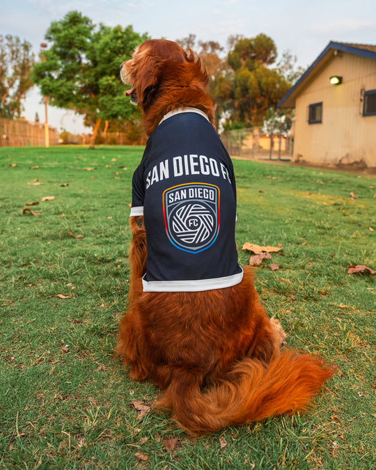 SDFC Pet Jersey